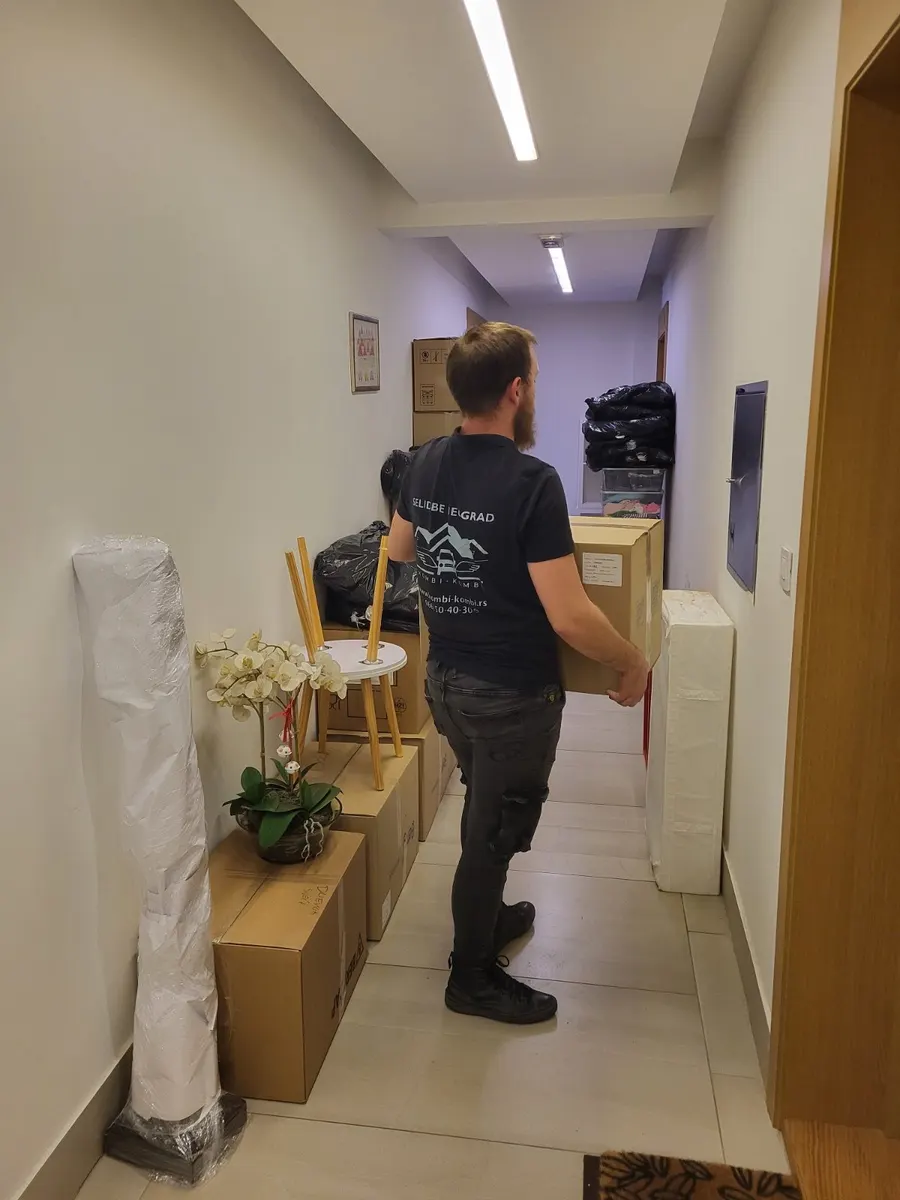 Spakovan stan pred utovar — sve kutije i nameštaj spremni na jednom mestu
