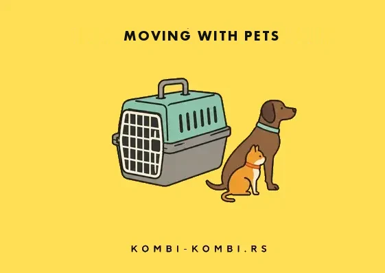Moving house with a pet — KOMBI-KOMBI Belgrade
